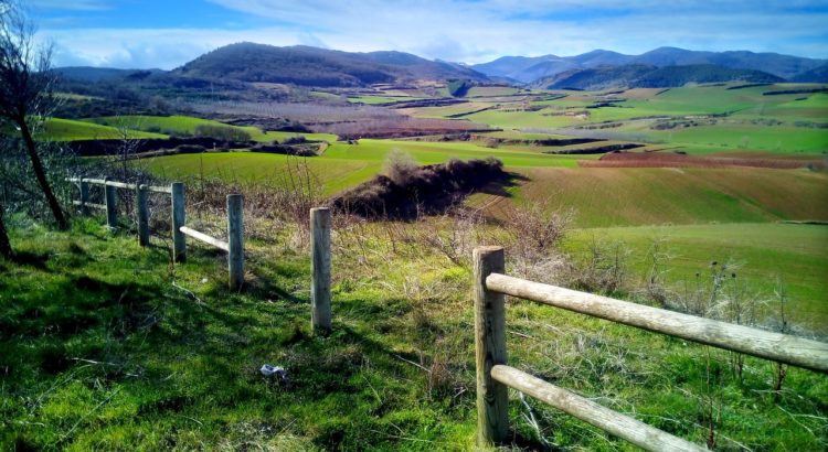 ESCAPADA LA RIOJA
