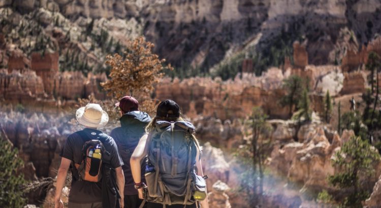 organizar un viaje en grupo