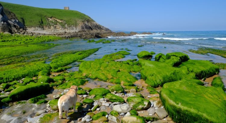 Escapada a Cantabria